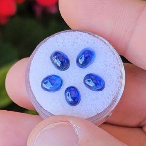 Cianite cabochons - 1 ct