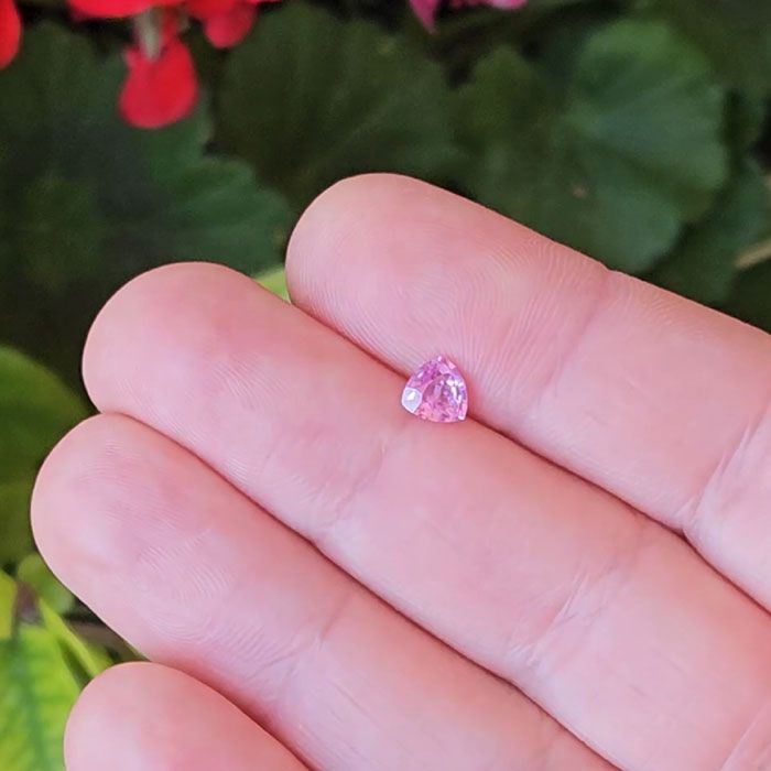 Sapphire, unheated, pink - 0,88 ct