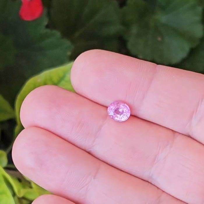 Sapphire, unheated, pink - 1,72 ct